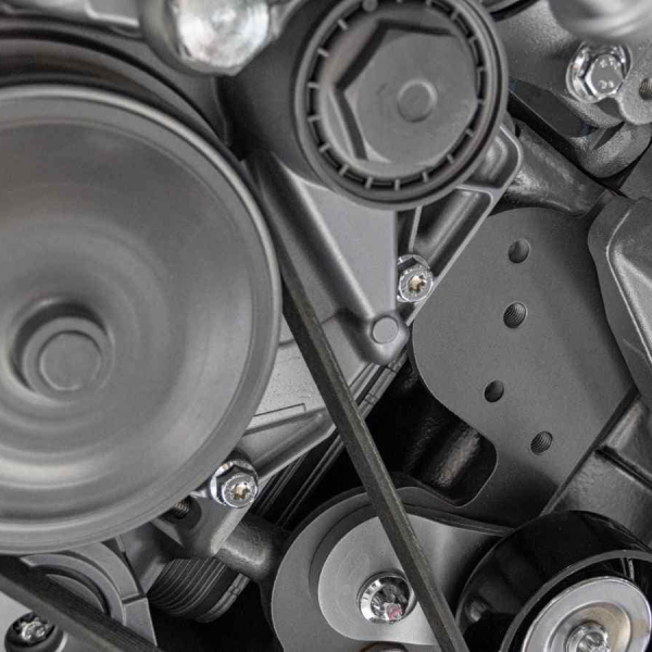 replace serpentine belt cost