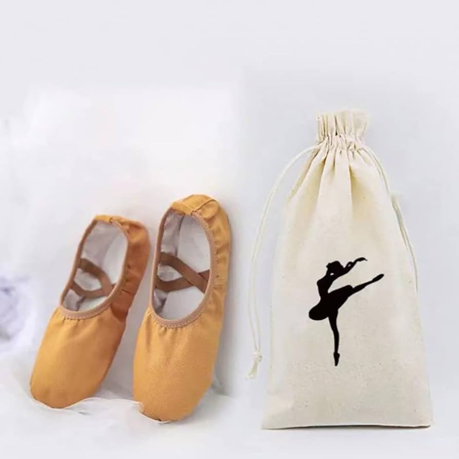 dance shoe bag